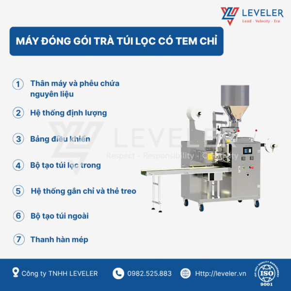 cấu tạo